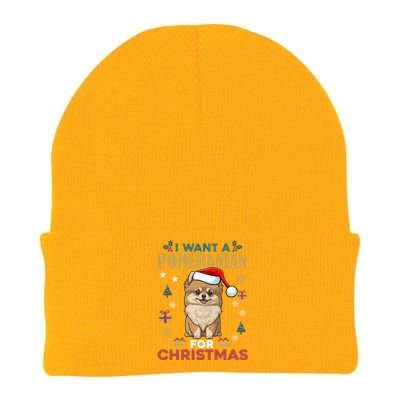 I Want A Pomeranian For Christmas Cute Dog Lover Xmas Pajama Gift Knit Cap Winter Beanie