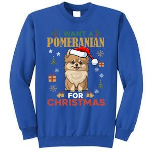 I Want A Pomeranian For Christmas Cute Dog Lover Xmas Pajama Gift Sweatshirt