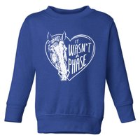 It WasnT A Phase Heart Horse Gift Toddler Sweatshirt