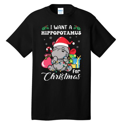 I Want A Hippopotamus For Christmas Hippo Christmas Pajamas Tall T-Shirt