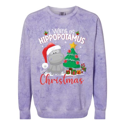 I Want A Hippopotamus For Christmas Xmas Hippo Gift Colorblast Crewneck Sweatshirt