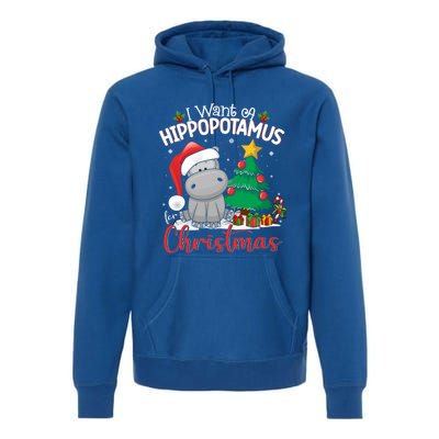 I Want A Hippopotamus For Christmas Xmas Hippo Gift Premium Hoodie