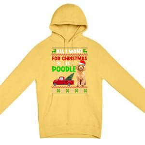 I Want A Poodle For Christmas Ugly Sweater Dog Xmasoutfit Gift Premium Pullover Hoodie