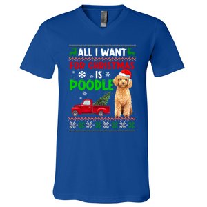 I Want A Poodle For Christmas Ugly Sweater Dog Xmasoutfit Gift V-Neck T-Shirt