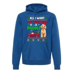 I Want A Poodle For Christmas Ugly Sweater Dog Xmasoutfit Gift Premium Hoodie