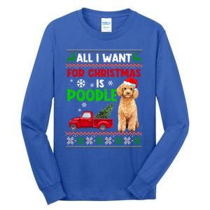 I Want A Poodle For Christmas Ugly Sweater Dog Xmasoutfit Gift Tall Long Sleeve T-Shirt