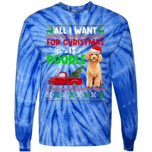 I Want A Poodle For Christmas Ugly Sweater Dog Xmasoutfit Gift Tie-Dye Long Sleeve Shirt