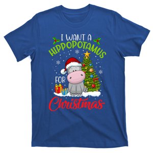 I Want A Hippopotamus For Christmas Xmas Hippo Meaningful Gift T-Shirt