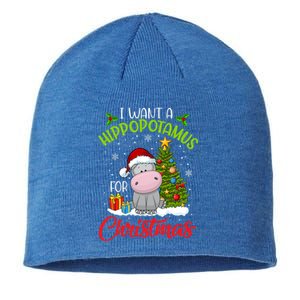 I Want A Hippopotamus For Christmas Xmas Hippo Meaningful Gift Sustainable Beanie