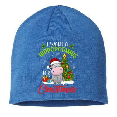 I Want A Hippopotamus For Christmas Xmas Hippo Meaningful Gift Sustainable Beanie