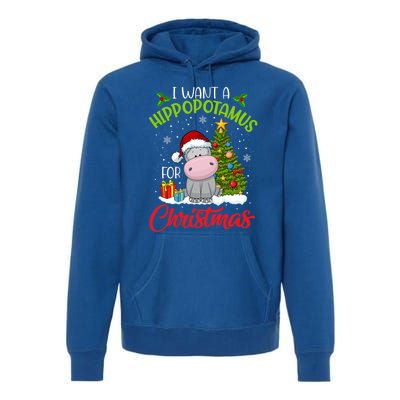 I Want A Hippopotamus For Christmas Xmas Hippo Meaningful Gift Premium Hoodie