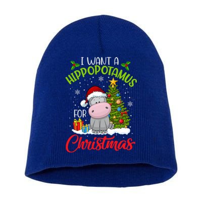 I Want A Hippopotamus For Christmas Xmas Hippo Meaningful Gift Short Acrylic Beanie