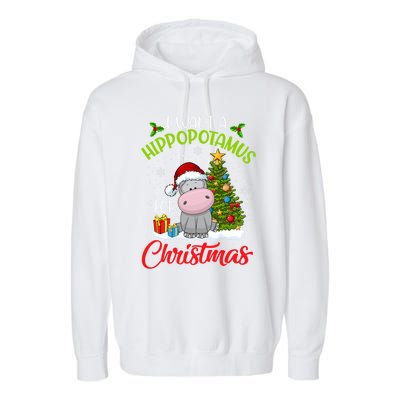 I Want A Hippopotamus For Christmas Xmas Hippo Meaningful Gift Garment-Dyed Fleece Hoodie