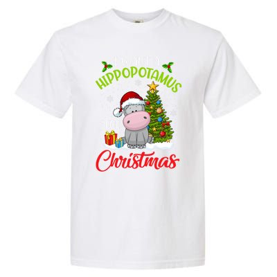 I Want A Hippopotamus For Christmas Xmas Hippo Meaningful Gift Garment-Dyed Heavyweight T-Shirt