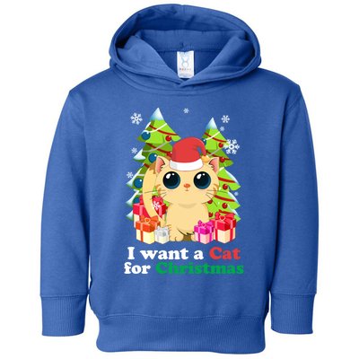 I Want A Cat For Christmas Funny Christmas Funny Gift Holiday Meaningful Gift Toddler Hoodie