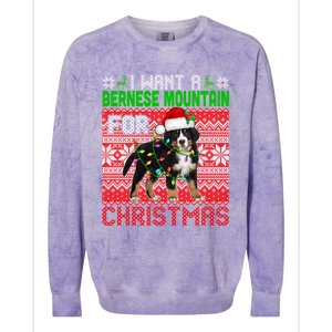 I Want A Bernese Mountain For Christmas Santa Dog Lover Gift Colorblast Crewneck Sweatshirt