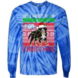 I Want A Bernese Mountain For Christmas Santa Dog Lover Gift Tie-Dye Long Sleeve Shirt