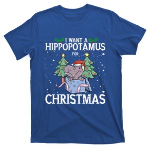 I Want A Hippopotamus For Christmas Xmas Hippo Gift T-Shirt