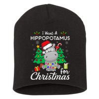 I Want A Hippopotamus For Christmas Cute Gift Short Acrylic Beanie