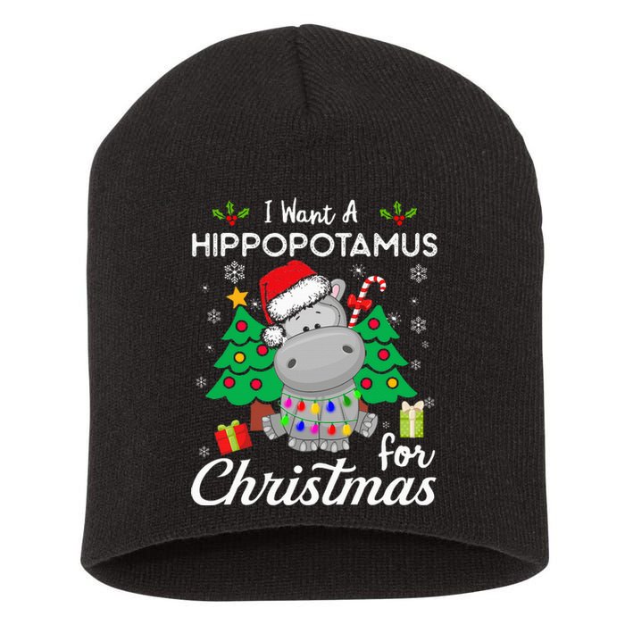 I Want A Hippopotamus For Christmas Cute Gift Short Acrylic Beanie