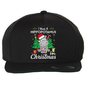 I Want A Hippopotamus For Christmas Cute Gift Wool Snapback Cap