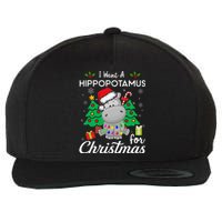 I Want A Hippopotamus For Christmas Cute Gift Wool Snapback Cap