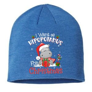 I Want A Hippopotamus For Christmas Xmas Pajama Hippo Lover Gift Sustainable Beanie