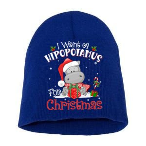 I Want A Hippopotamus For Christmas Xmas Pajama Hippo Lover Gift Short Acrylic Beanie