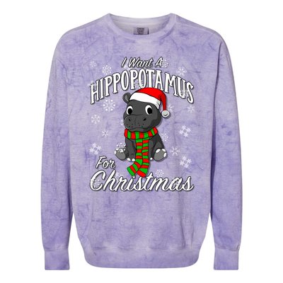 I Want A Hippopotamus For Christmas Cute Gift Xmas Hippo Cute Gift Colorblast Crewneck Sweatshirt