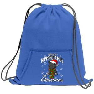 I Want A Hippopotamus For Christmas Cute Gift Xmas Hippo Cute Gift Sweatshirt Cinch Pack Bag