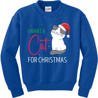 I Want A Cat For Christmas Cute Kitten Cat Lover Present Gift Kids Sweatshirt