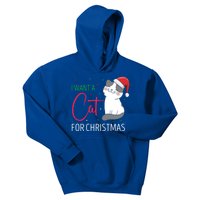 I Want A Cat For Christmas Cute Kitten Cat Lover Present Gift Kids Hoodie