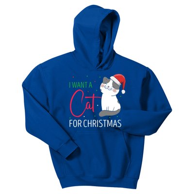 I Want A Cat For Christmas Cute Kitten Cat Lover Present Gift Kids Hoodie