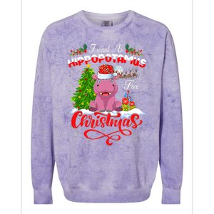 I Want A Hippopotamus For Christmas Xmas Hippo Gift Colorblast Crewneck Sweatshirt