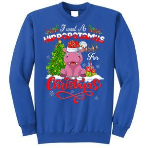 I Want A Hippopotamus For Christmas Xmas Hippo Gift Sweatshirt