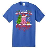 I Want A Hippopotamus For Christmas Xmas Hippo Gift Tall T-Shirt