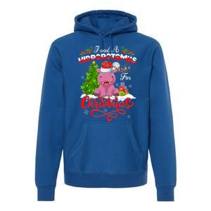 I Want A Hippopotamus For Christmas Xmas Hippo Gift Premium Hoodie