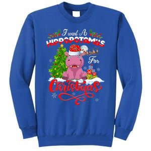 I Want A Hippopotamus For Christmas Xmas Hippo Gift Tall Sweatshirt