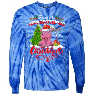 I Want A Hippopotamus For Christmas Xmas Hippo Gift Tie-Dye Long Sleeve Shirt