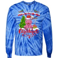 I Want A Hippopotamus For Christmas Xmas Hippo Gift Tie-Dye Long Sleeve Shirt