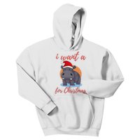 I Want A Hippopotamus For Christmas Kids Hoodie