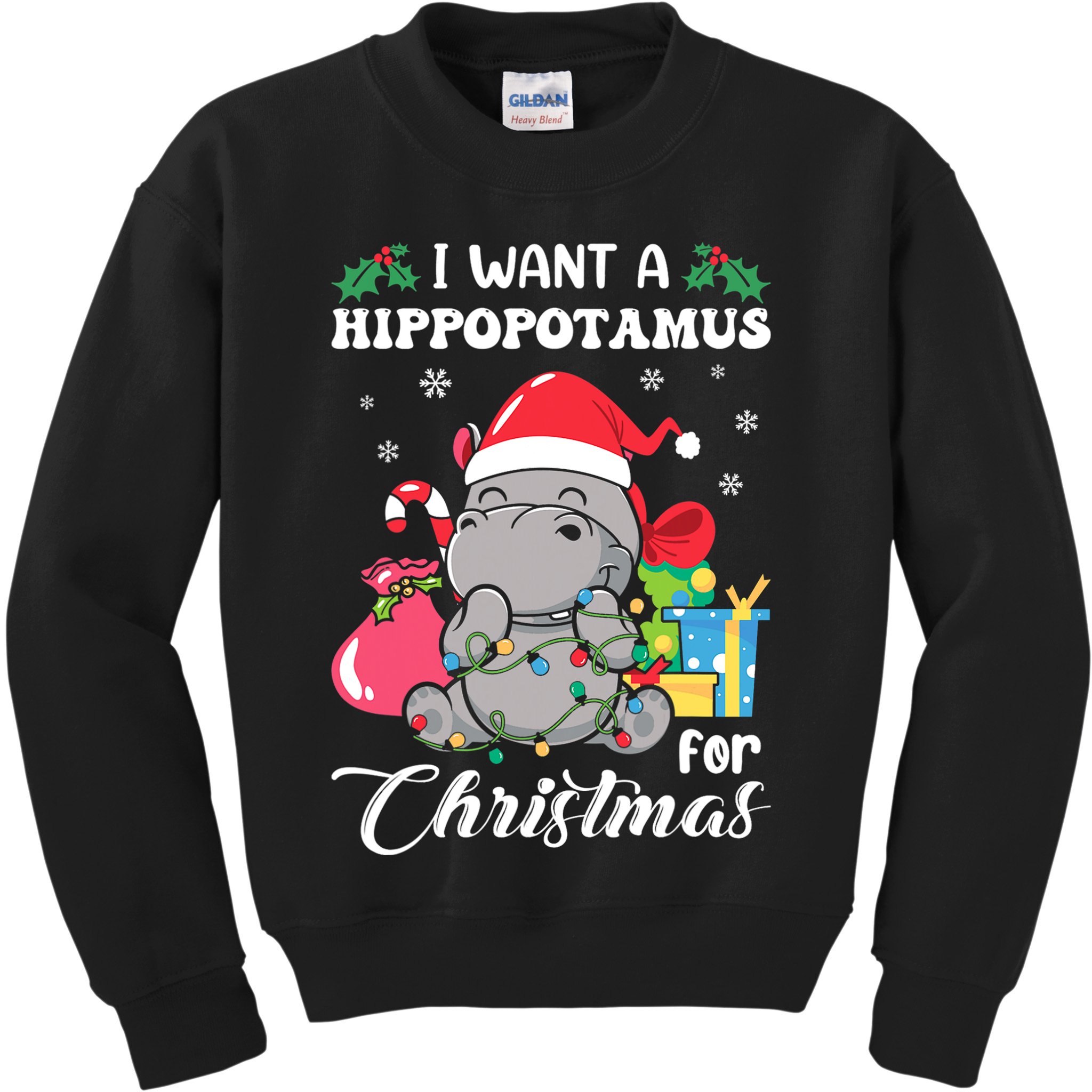 I Want A Hippopotamus For Christmas Hippo Christmas Pajamas Kids Sweatshirt