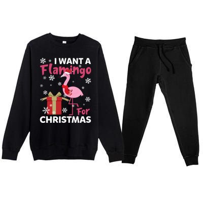 I Want A Flamingo For Christmas Funny Flamingo Lovers Gift Premium Crewneck Sweatsuit Set