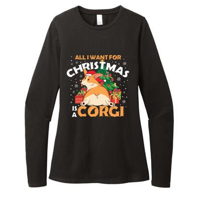 I Want A Corgi For Christmas Gift Womens CVC Long Sleeve Shirt