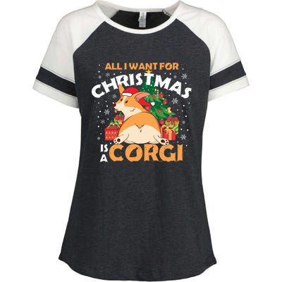 I Want A Corgi For Christmas Gift Enza Ladies Jersey Colorblock Tee