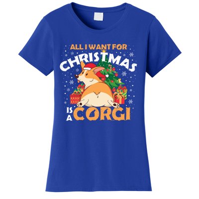 I Want A Corgi For Christmas Gift Women's T-Shirt