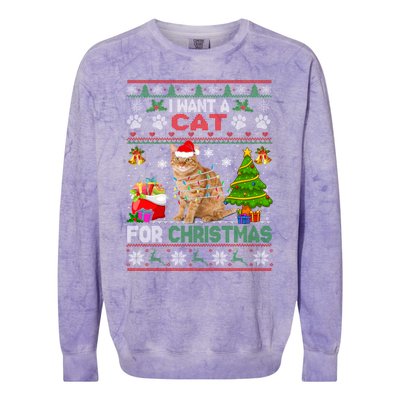 I Want A Cat For Christmas Funny Sweater Cat Xmas Gift Colorblast Crewneck Sweatshirt