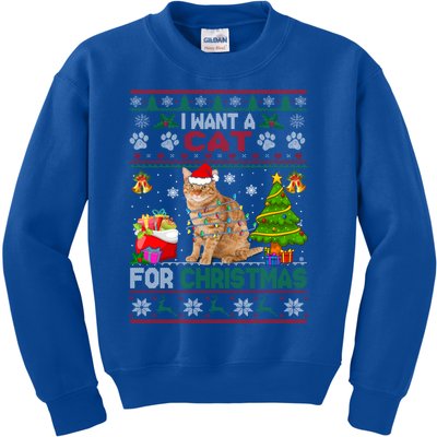 I Want A Cat For Christmas Funny Sweater Cat Xmas Gift Kids Sweatshirt