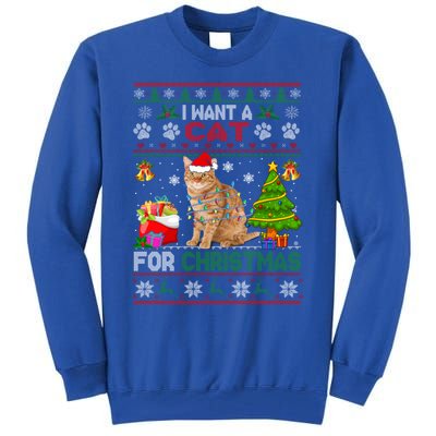 I Want A Cat For Christmas Funny Sweater Cat Xmas Gift Tall Sweatshirt