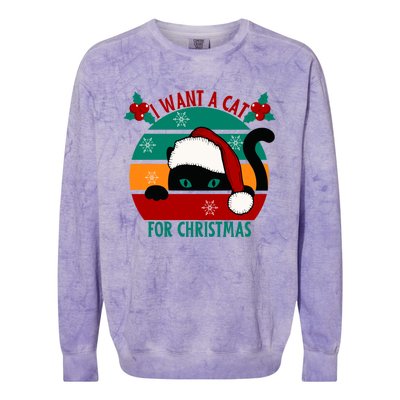 I Want A Cat For Christmas Xmas Cat Gift Colorblast Crewneck Sweatshirt